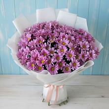 Букет цветов из:  Хризантемы в Иволгинске