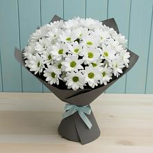Букет цветов из:  Хризантемы в Иволгинске