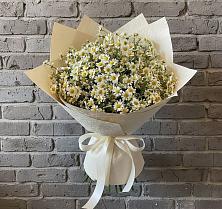 Букет цветов из:  Ромашки в Иволгинске