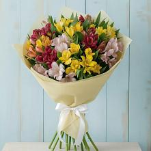 Букет цветов из:  Альстромерии #REPLACE_PRED# Иволгинске