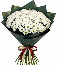 Букет цветов из:  Хризантемы #REPLACE_PRED# Иволгинске