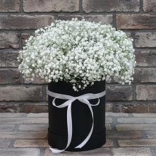 Цветочная композиция из Гипсофила в шляпной коробке в Иволгинске