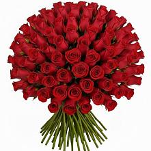Букет Красные розы Чери Лав в Иволгинске