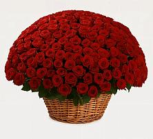 Премиум букет из: Розы в Иволгинске