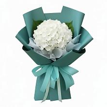 Букет цветов из:  Гортензия #REPLACE_PRED# Иволгинске